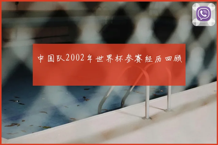 中国队2002年世界杯参赛经历回顾