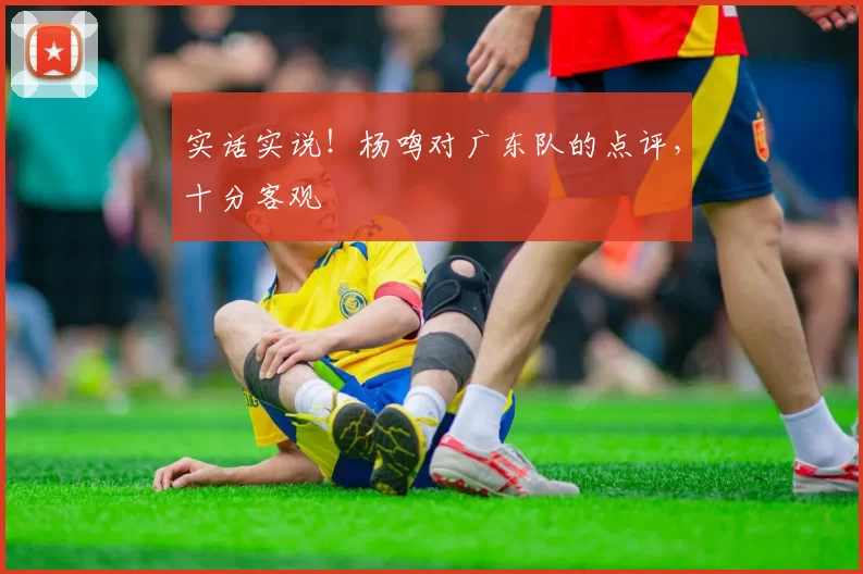 实话实说！杨鸣对广东队的点评，十分客观