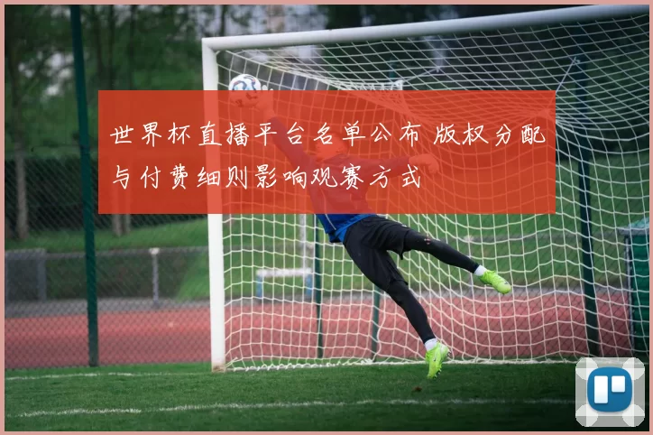 世界杯直播平台名单公布 版权分配与付费细则影响观赛方式