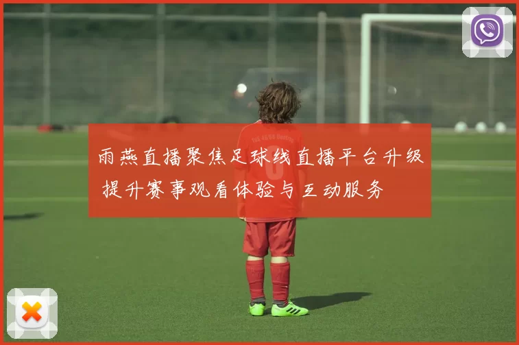 雨燕直播聚焦足球线直播平台升级 提升赛事观看体验与互动服务