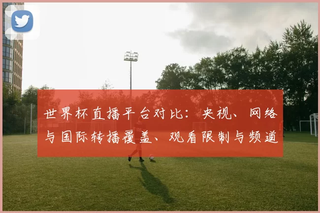 世界杯直播平台对比:央视、网络与国际转播覆盖、观看限制与频道接入方式